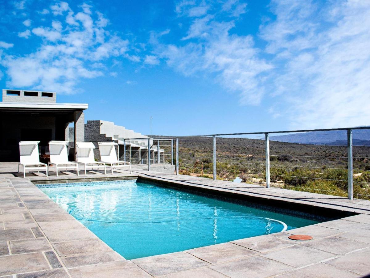 Rooiberg Wild Private Game Reserve Ladismith Extérieur photo