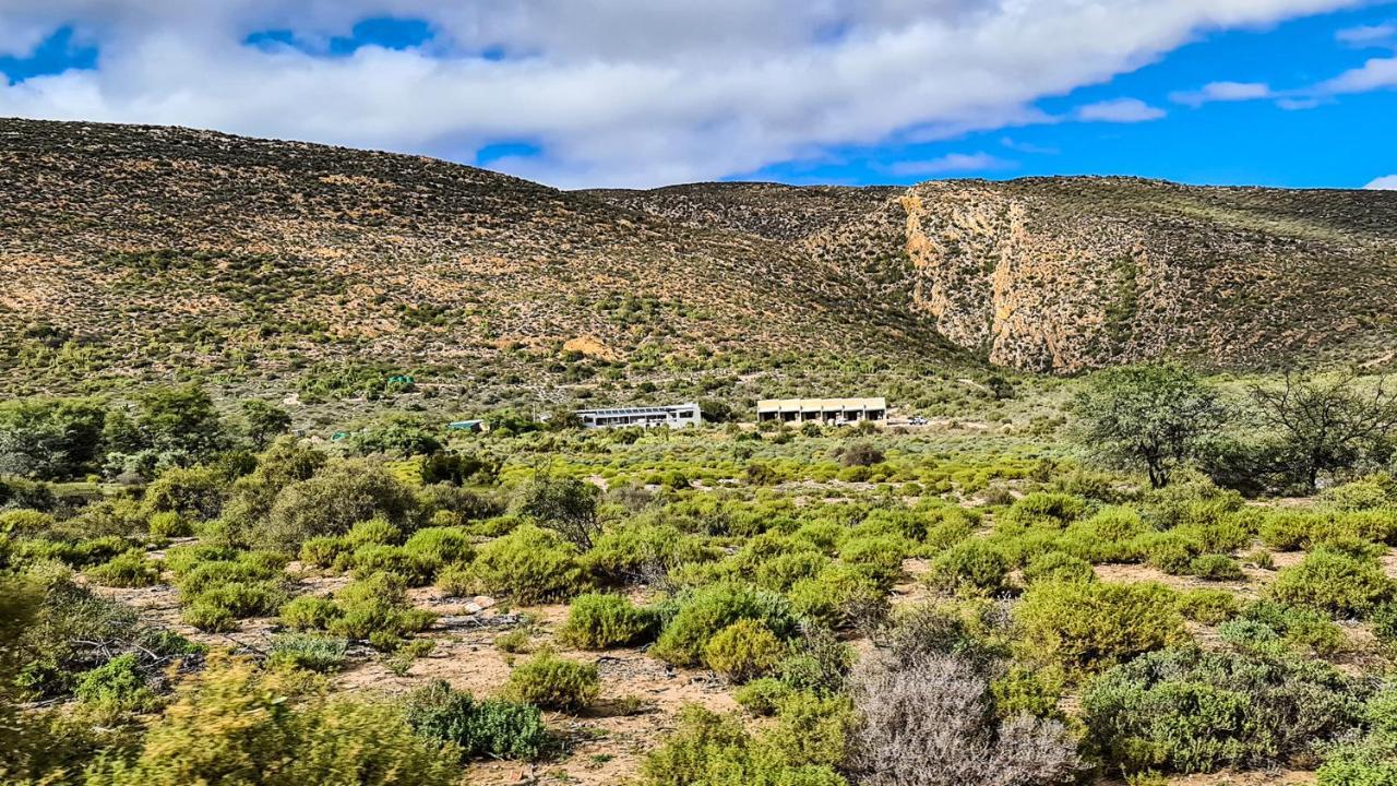 Rooiberg Wild Private Game Reserve Ladismith Extérieur photo