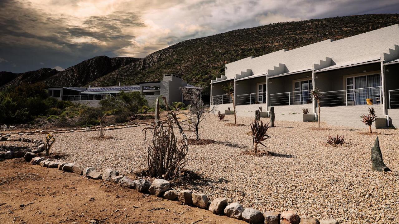 Rooiberg Wild Private Game Reserve Ladismith Extérieur photo
