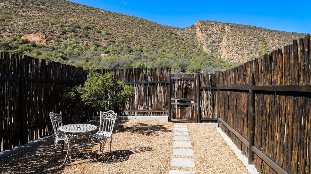 Rooiberg Wild Private Game Reserve Ladismith Extérieur photo