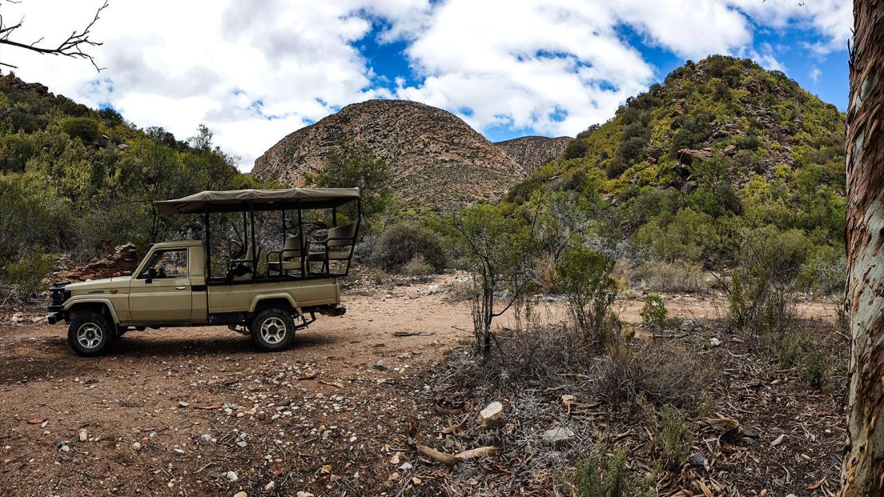 Rooiberg Wild Private Game Reserve Ladismith Extérieur photo