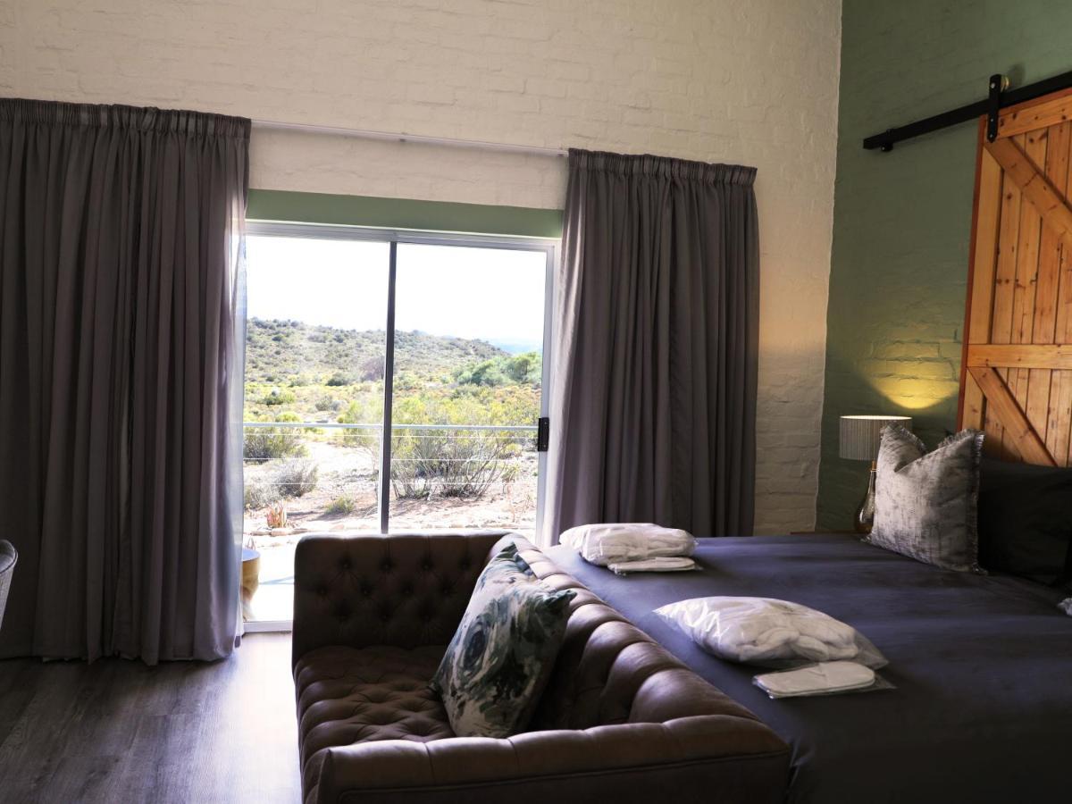 Rooiberg Wild Private Game Reserve Ladismith Extérieur photo