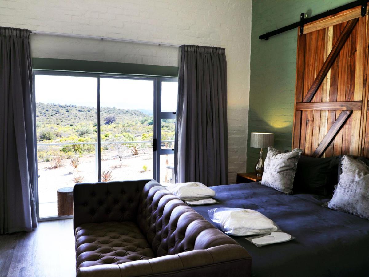 Rooiberg Wild Private Game Reserve Ladismith Extérieur photo