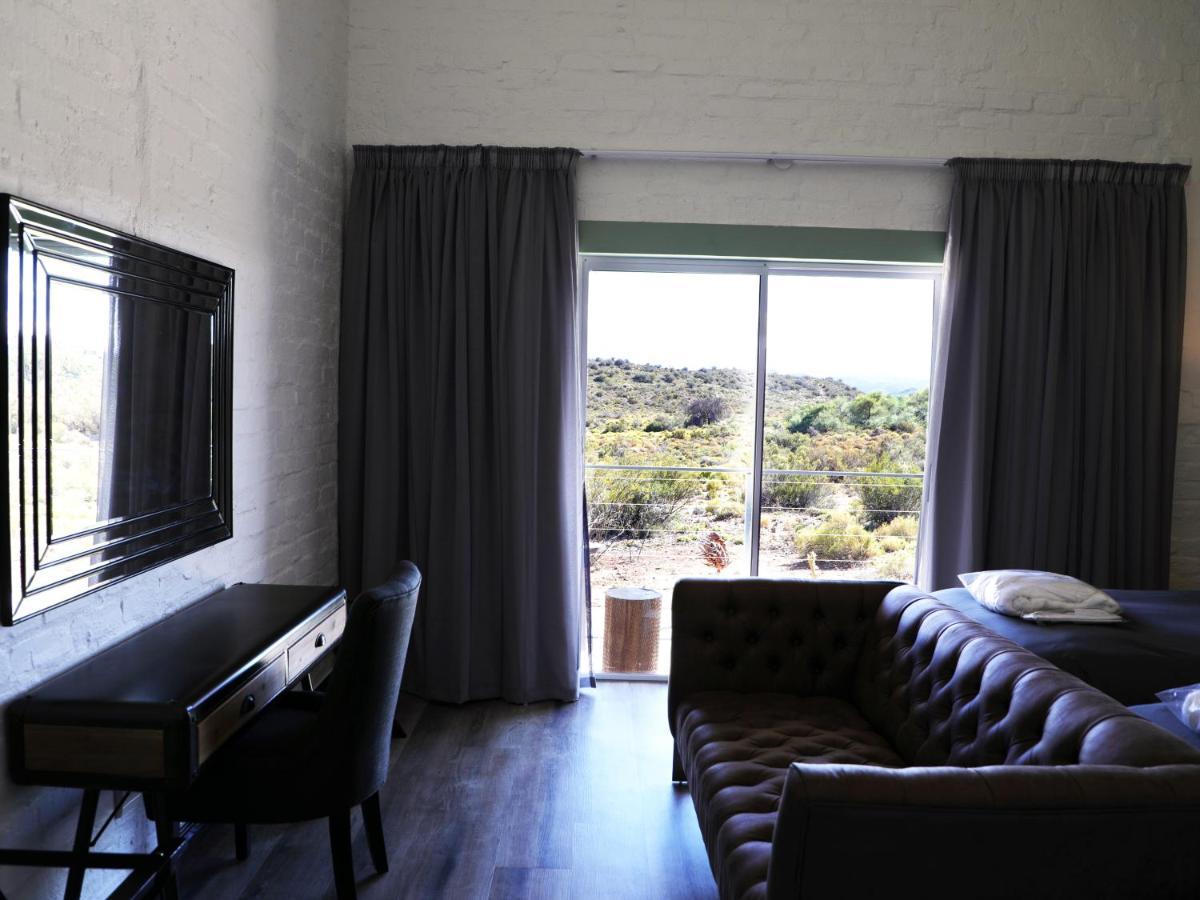 Rooiberg Wild Private Game Reserve Ladismith Extérieur photo
